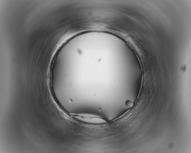 X0000098031432200804181217