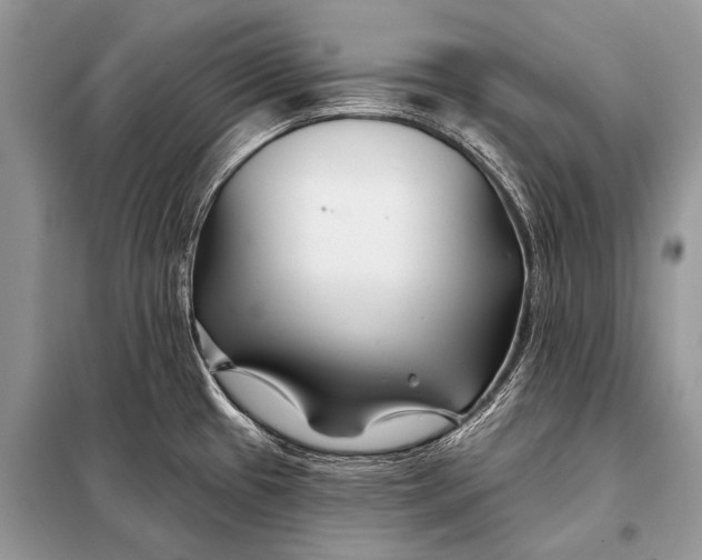 X0000098031433200804181217