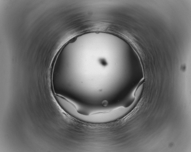 X0000098031434200804181217