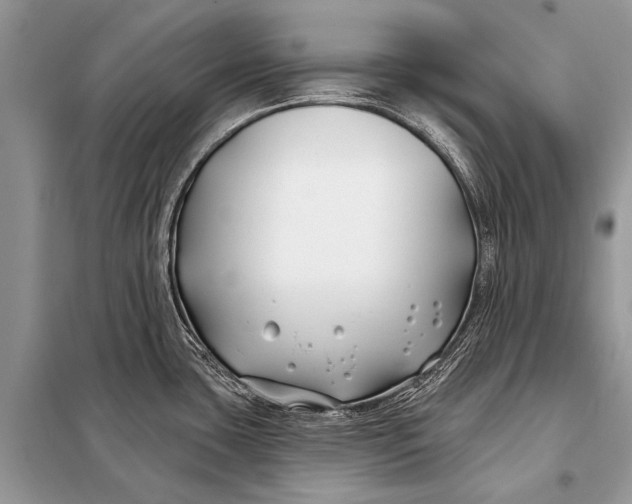 X0000098031435200804181217