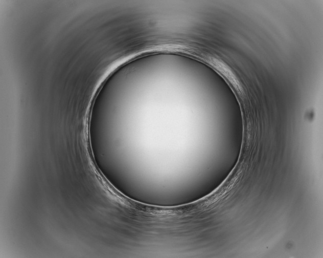 X0000098031436200804181217