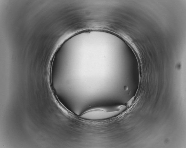 X0000098031437200804181218