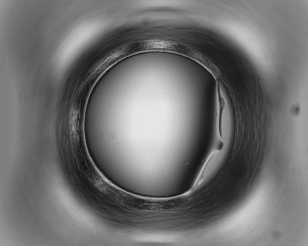 X0000098031438200804181218