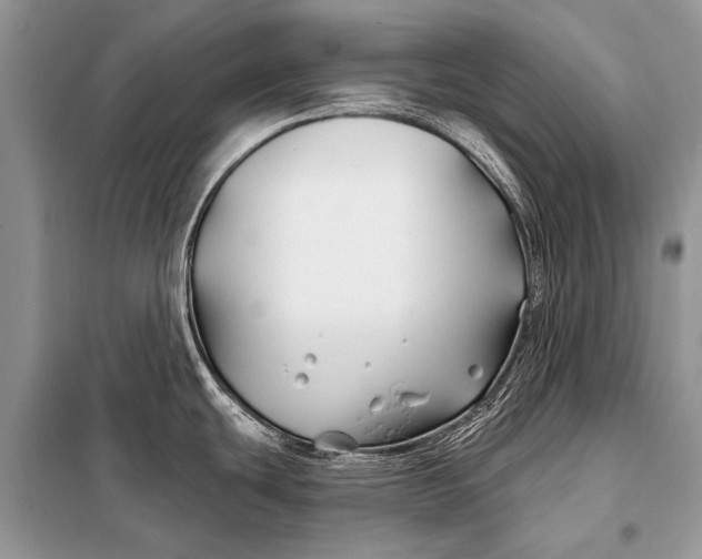 X0000098031439200804181218