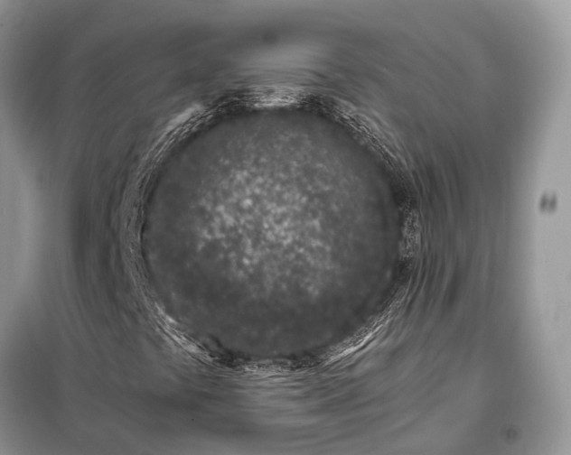 X0000098031441200804181217