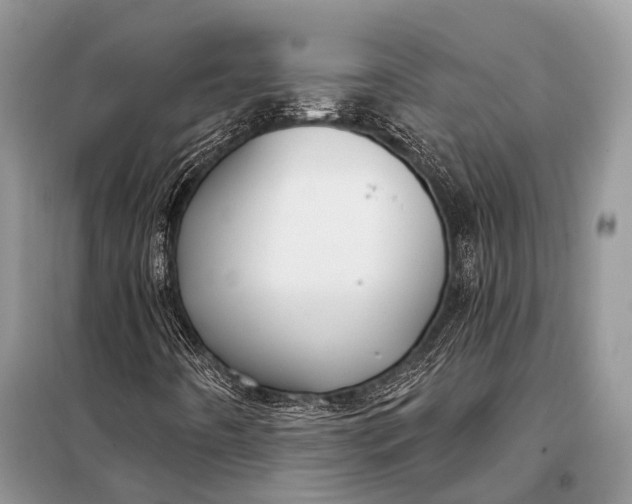 X0000098031442200804181217