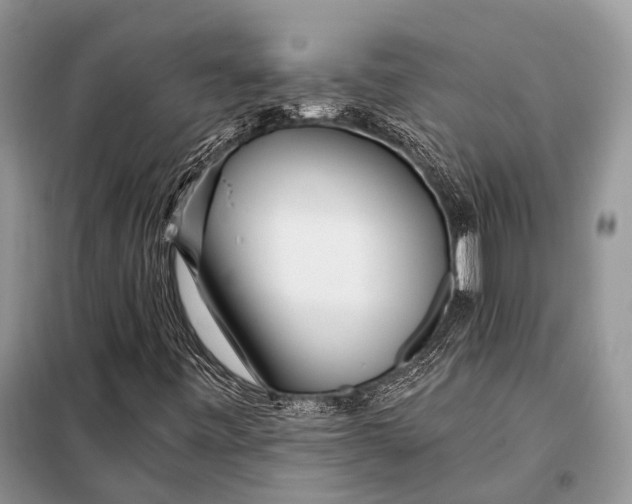 X0000098031443200804181217