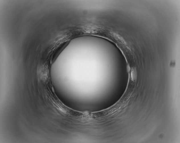 X0000098031444200804181217