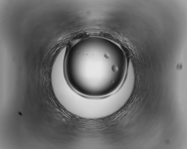 X0000098031445200804181217