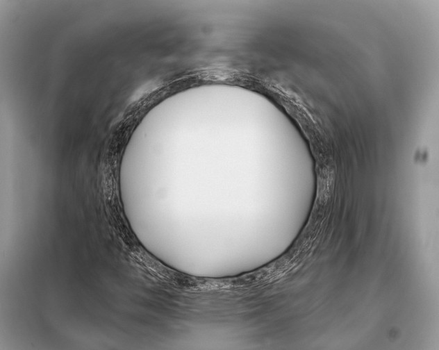 X0000098031446200804181217