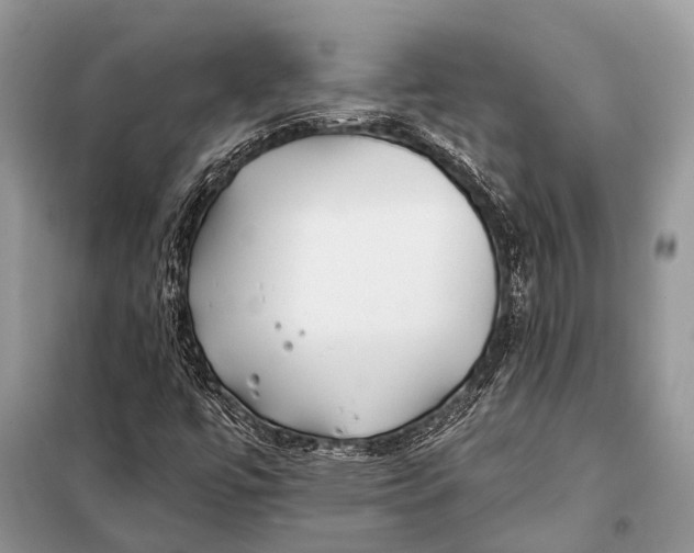 X0000098031447200804181217