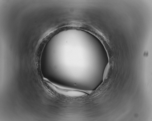 X0000098031448200804181217