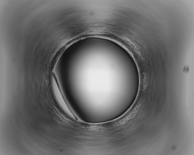 X0000098031449200804181217