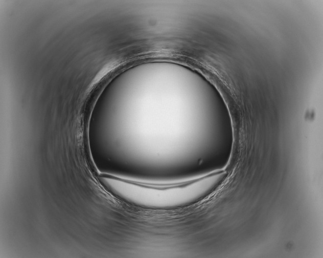 X0000098031450200804181217