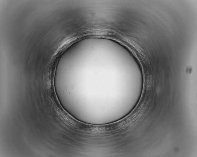 X0000098031451200804181217