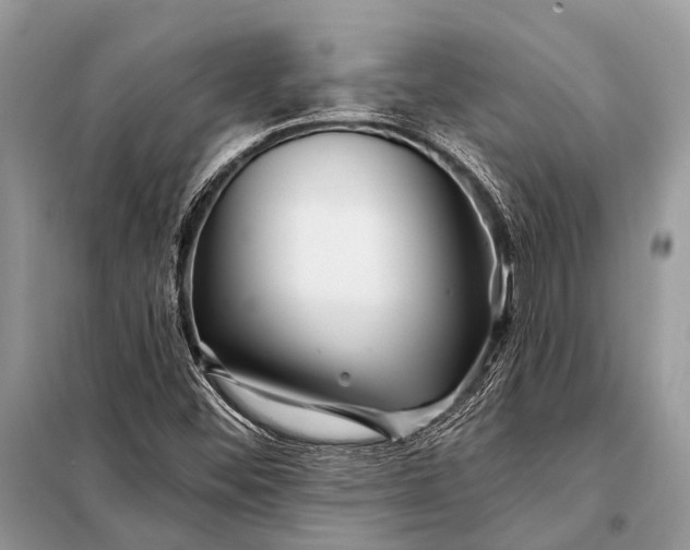 X0000098031452200804181217