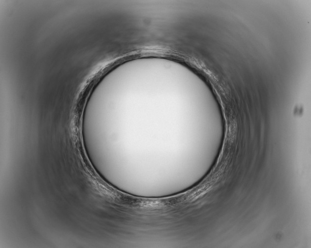 X0000098031454200804181217