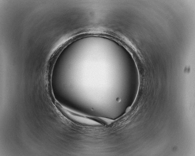 X0000098031456200804181217