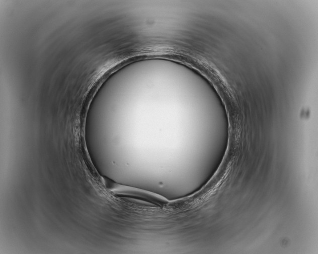 X0000098031457200804181216