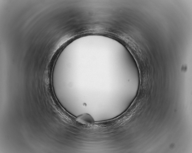 X0000098031458200804181216