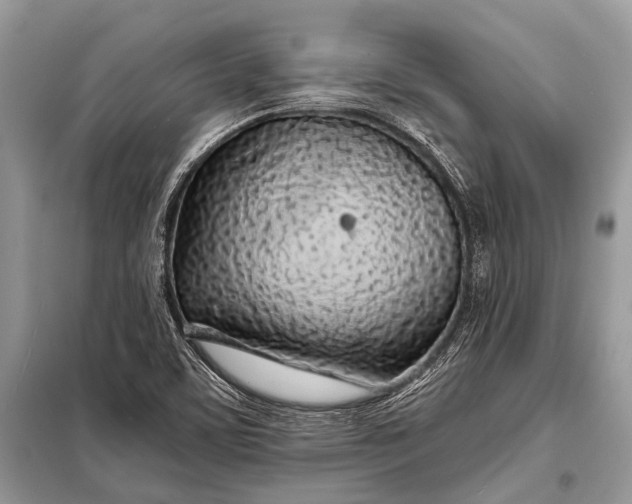 X0000098031459200804181216