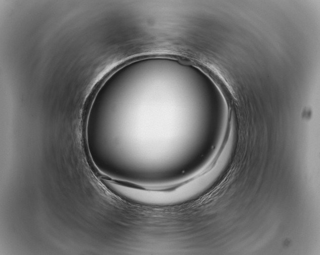 X0000098031460200804181216