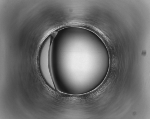 X0000098031461200804181216