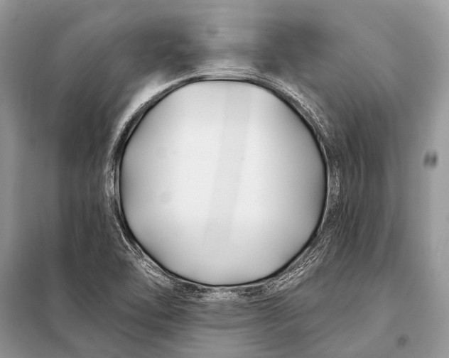 X0000098031462200804181216