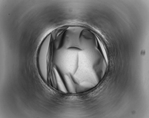 X0000098031463200804181216