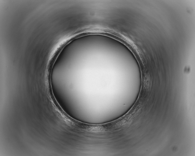 X0000098031464200804181216