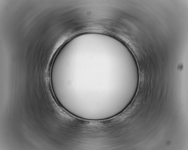 X0000098031466200804181216