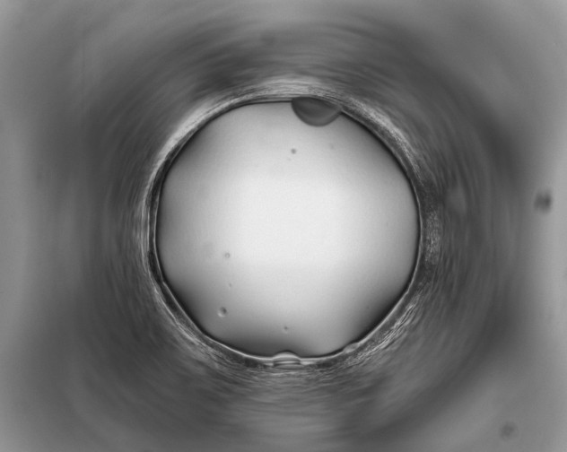 X0000098031467200804181216