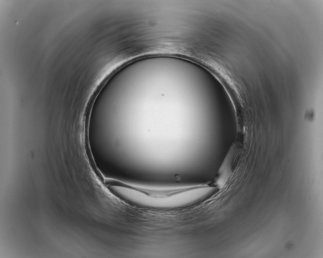 X0000098031468200804181216