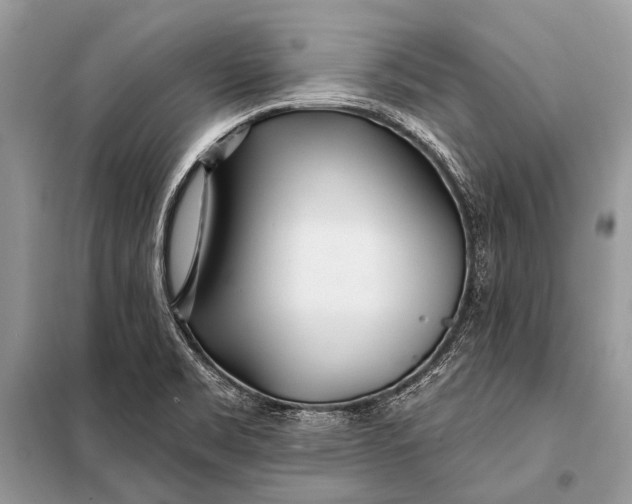 X0000098031469200804181216