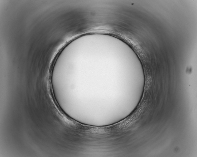 X0000098031470200804181216