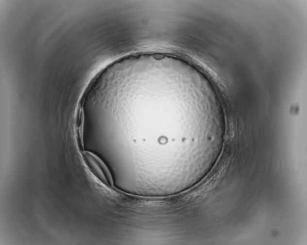 X0000098031471200804181216