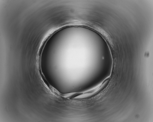 X0000098031472200804181216