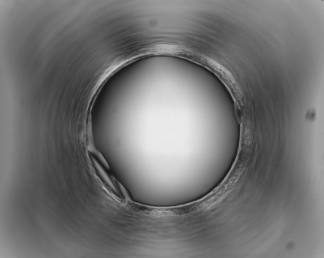 X0000098031473200804181216