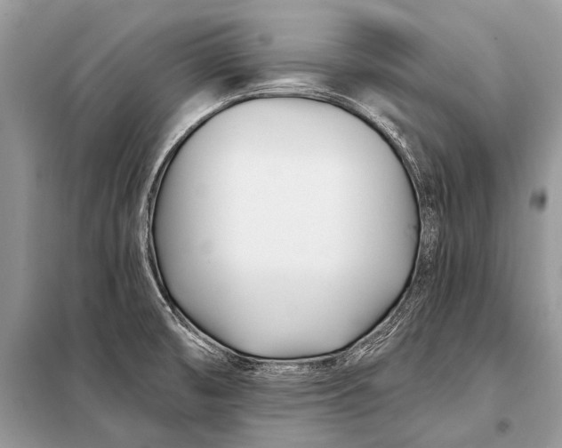 X0000098031474200804181216