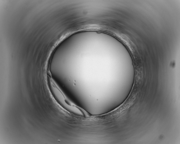 X0000098031475200804181216