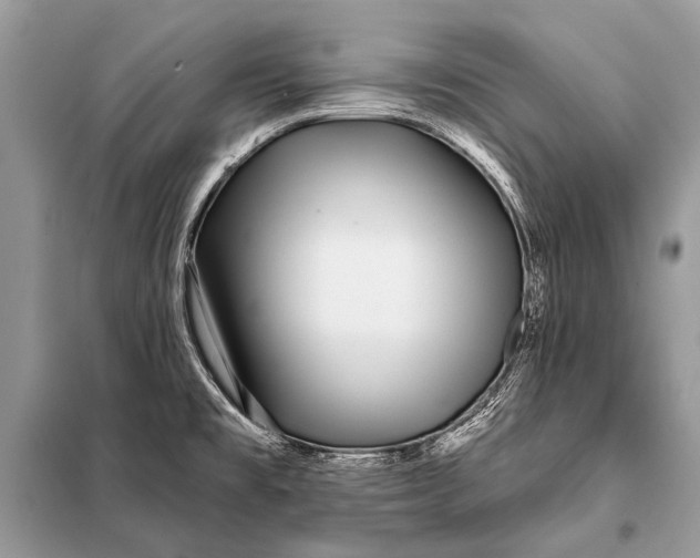 X0000098031477200804181216