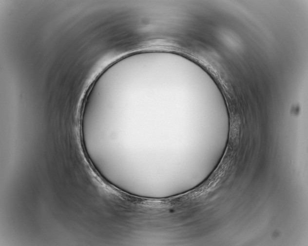 X0000098031478200804181216