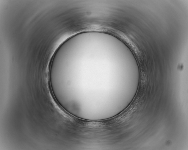 X0000098031479200804181216