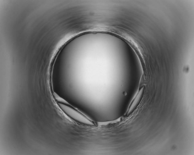 X0000098031480200804181216