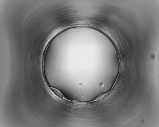 X0000098031482200804181216