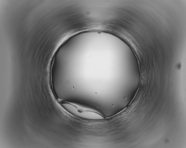 X0000098031483200804181216