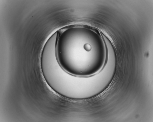 X0000098031484200804181216