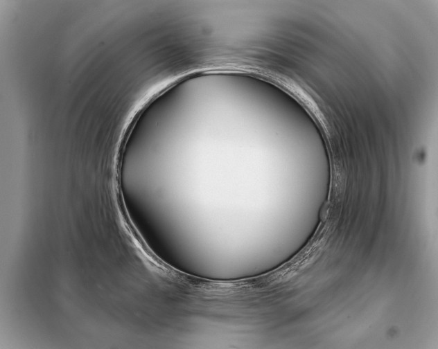 X0000098031485200804181216