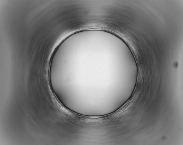 X0000098031486200804181216