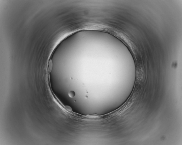 X0000098031487200804181216